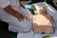 CPR Dummy 